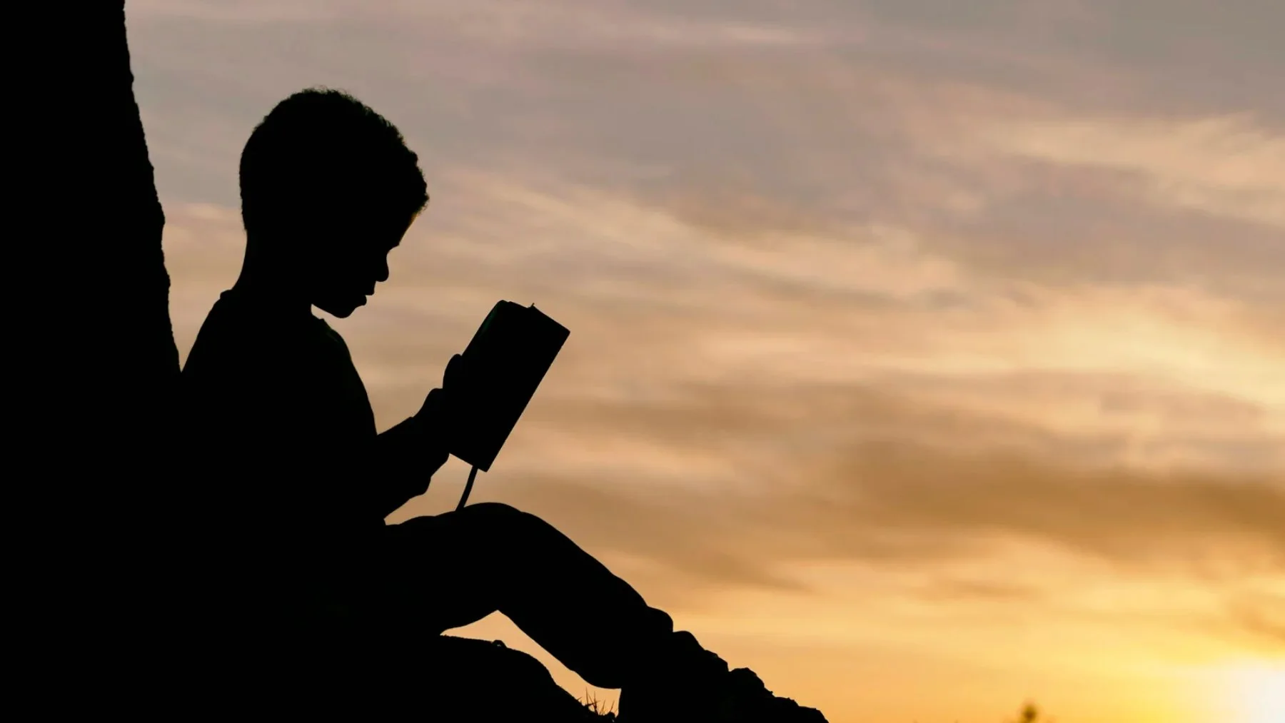 Silhueta de um menino lendo um livro encostado numa árvore, contra o céu do fim de tarde
