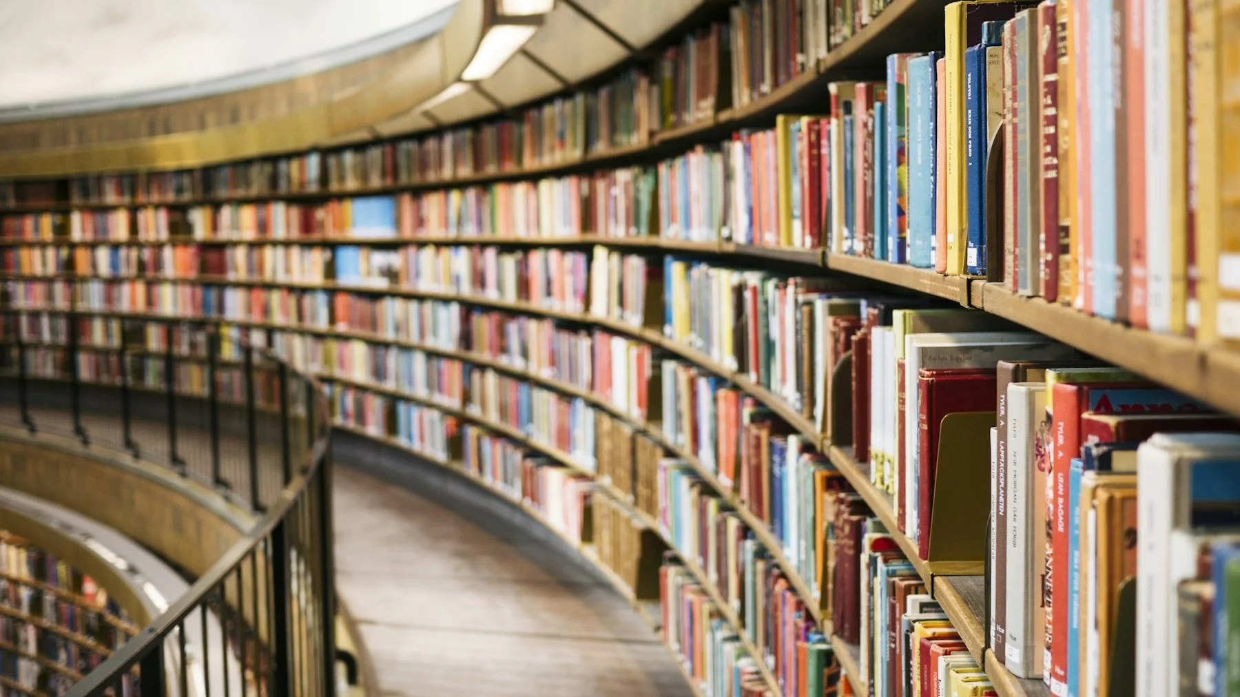 Biblioteca com estantes de livros em curva